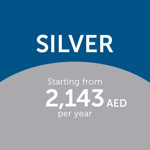 Silver Package (Yearly)