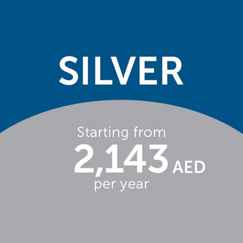 Silver Package (Yearly)