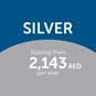 Silver Package (Yearly)